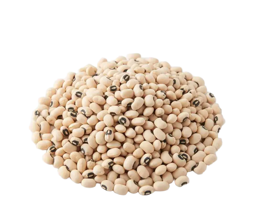 لوبیا چشم بلبلی 500 گرم