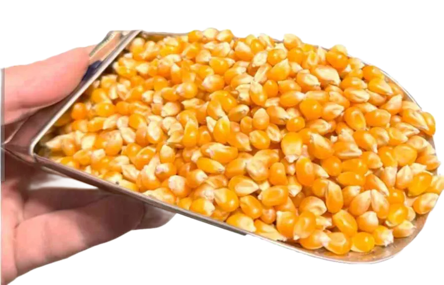 ذرت 500 گرم